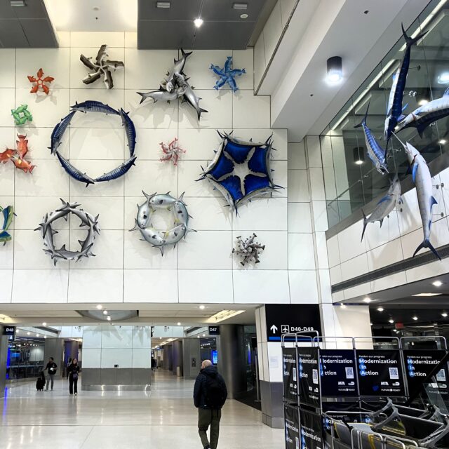 マイアミ空港。壁には様々な魚のオブジェ。海の風を感じます…って、そんな余裕はなかったですが。